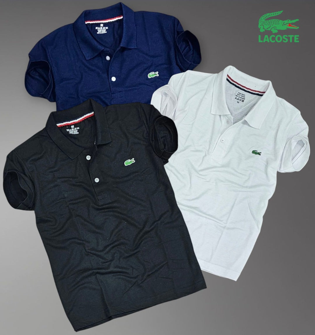 Matty Polo Tshirts in Pack of 3